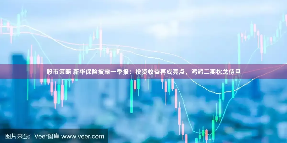 股市策略 新华保险披露一季报：投资收益再成亮点，鸿鹄二期枕戈待旦