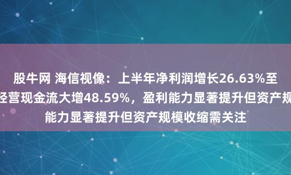 股牛网 海信视像：上半年净利润增长26.63%至10.56亿元，经营现金流大增48.59%，盈利能力显著提升但资产规模收缩需关注
