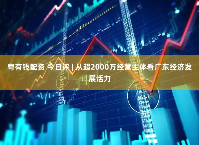 粤有钱配资 今日评 | 从超2000万经营主体看广东经济发展活力
